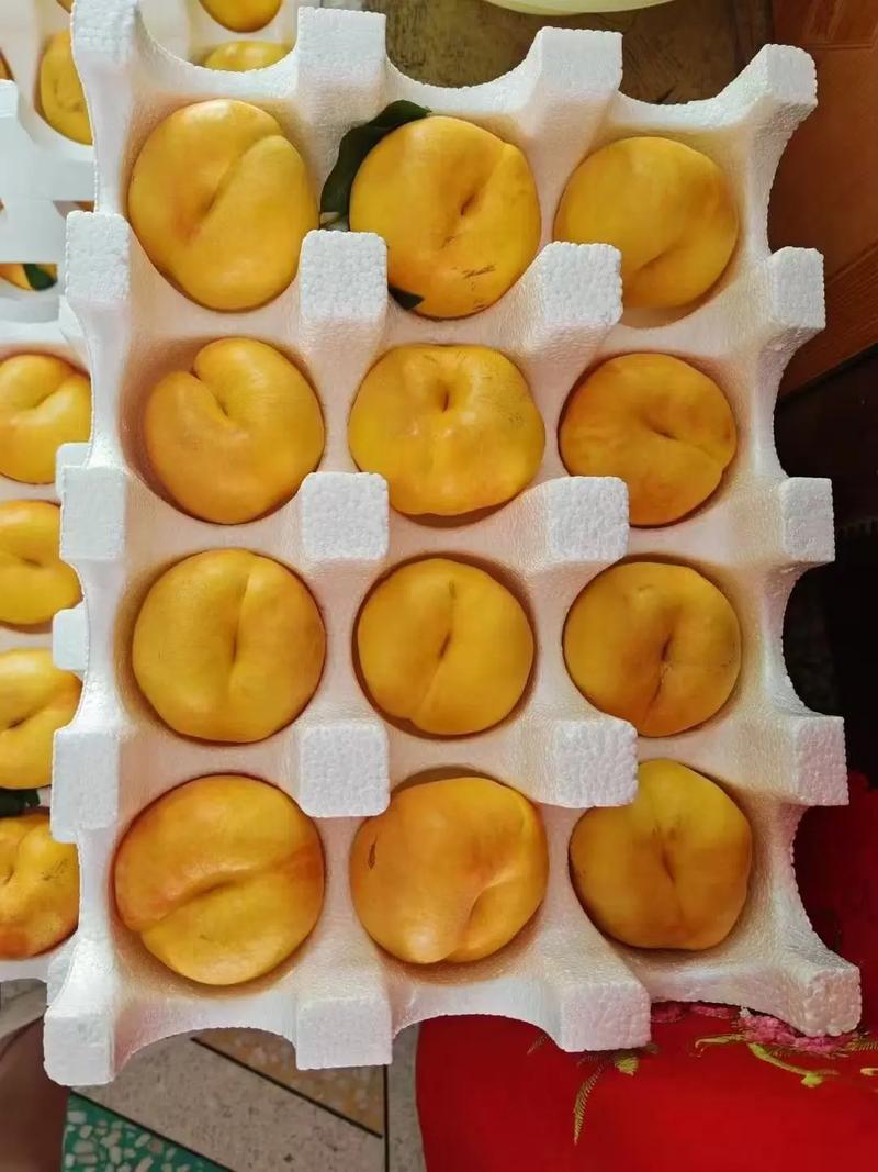 新鲜采摘 #优质农产品 #应季水果 陕西咸阳黄金油蟠桃成